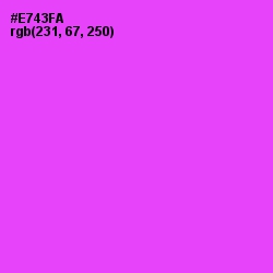 #E743FA - Pink Flamingo Color Image