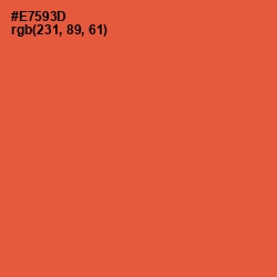 #E7593D - Flamingo Color Image