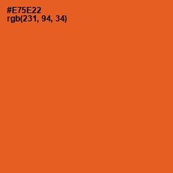 #E75E22 - Flamingo Color Image