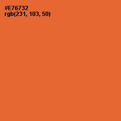 #E76732 - Outrageous Orange Color Image