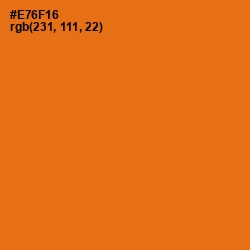 #E76F16 - Christine Color Image