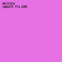 #E771E4 - Blush Pink Color Image