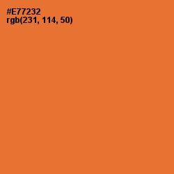 #E77232 - Crusta Color Image