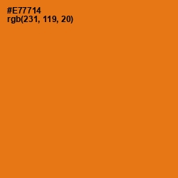 #E77714 - Tango Color Image