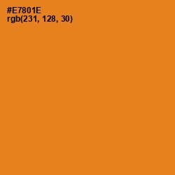 #E7801E - Zest Color Image