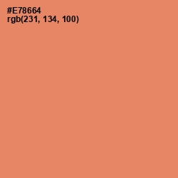 #E78664 - Apricot Color Image