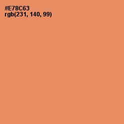 #E78C63 - Apricot Color Image