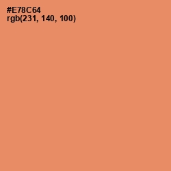 #E78C64 - Apricot Color Image