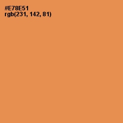 #E78E51 - Tan Hide Color Image