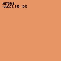 #E79564 - Apricot Color Image