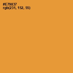 #E79837 - Fire Bush Color Image