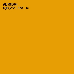 #E79D04 - Gamboge Color Image
