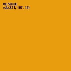 #E79D0E - Gamboge Color Image