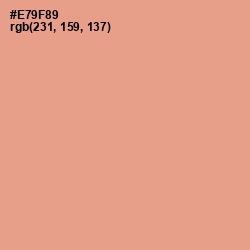 #E79F89 - Tonys Pink Color Image