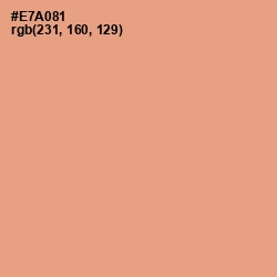 #E7A081 - Tacao Color Image