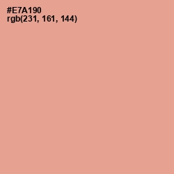 #E7A190 - Tacao Color Image