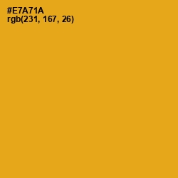 #E7A71A - Buttercup Color Image