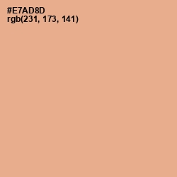 #E7AD8D - Tacao Color Image