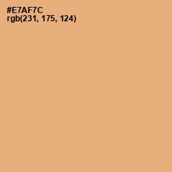 #E7AF7C - Harvest Gold Color Image