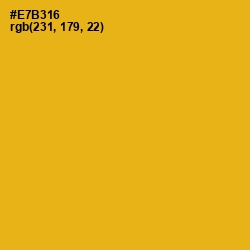 #E7B316 - Buttercup Color Image