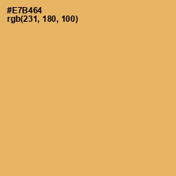 #E7B464 - Equator Color Image