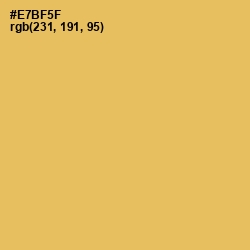 #E7BF5F - Saffron Mango Color Image