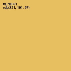 #E7BF61 - Equator Color Image