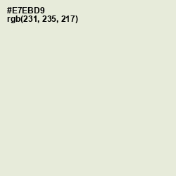 #E7EBD9 - White Rock Color Image