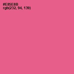 #E85E8B - French Rose Color Image