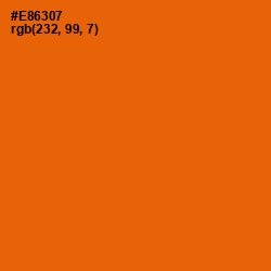 #E86307 - Clementine Color Image