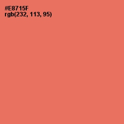 #E8715F - Terracotta Color Image