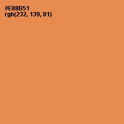 #E88B51 - Tan Hide Color Image