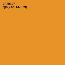 #E89327 - Carrot Orange Color Image