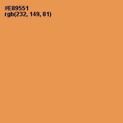 #E89551 - Tan Hide Color Image