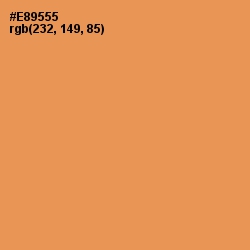 #E89555 - Tan Hide Color Image