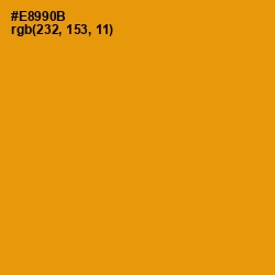 #E8990B - Gamboge Color Image