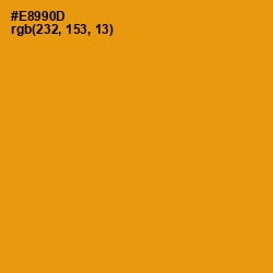 #E8990D - Gamboge Color Image