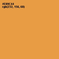 #E89C44 - Tan Hide Color Image