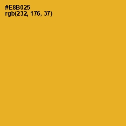 #E8B025 - Fuel Yellow Color Image