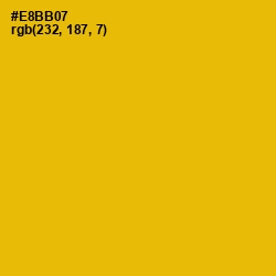 #E8BB07 - Corn Color Image