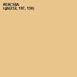 #E8C58A - Putty Color Image