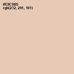 #E8C9B5 - Just Right Color Image