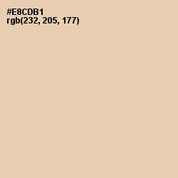 #E8CDB1 - Just Right Color Image