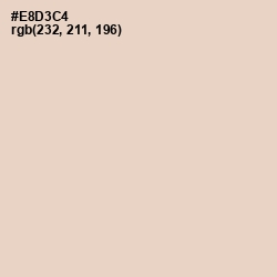 #E8D3C4 - Bone Color Image