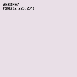 #E8DFE7 - Snuff Color Image