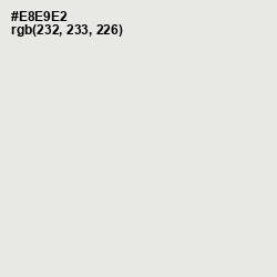 #E8E9E2 - Green White Color Image