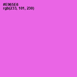 #E965E6 - Pink Flamingo Color Image