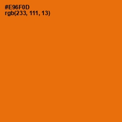 #E96F0D - Clementine Color Image