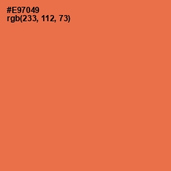 #E97049 - Burnt Sienna Color Image