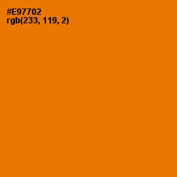 #E97702 - Mango Tango Color Image